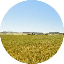 Imagen Desarrollo rural