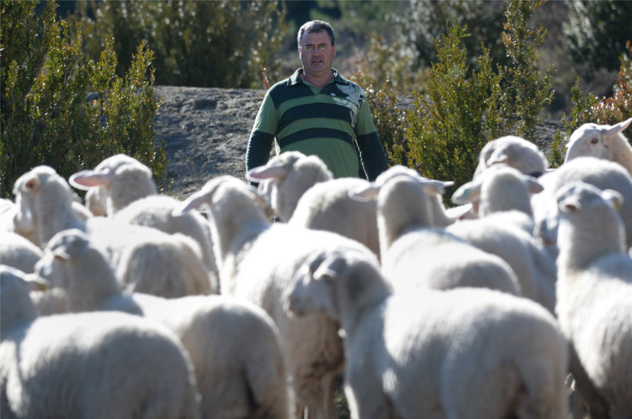 Imagen Guardianes del Mundo Rural